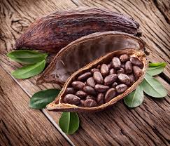 Organic Cocoa Beans